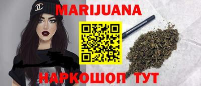 крисы Будённовск