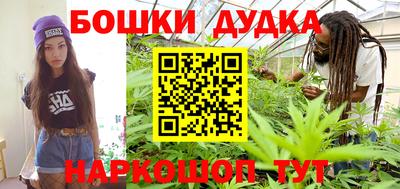 крисы Будённовск