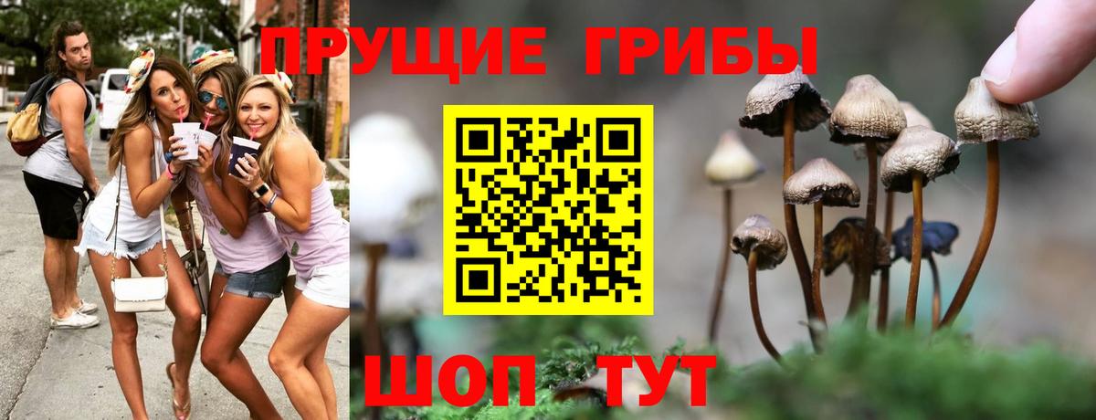 Псилоцибиновые грибы Magic Shrooms  Вход с VPN  Галлюциногенные грибы прущие грибы  Сосновоборск 