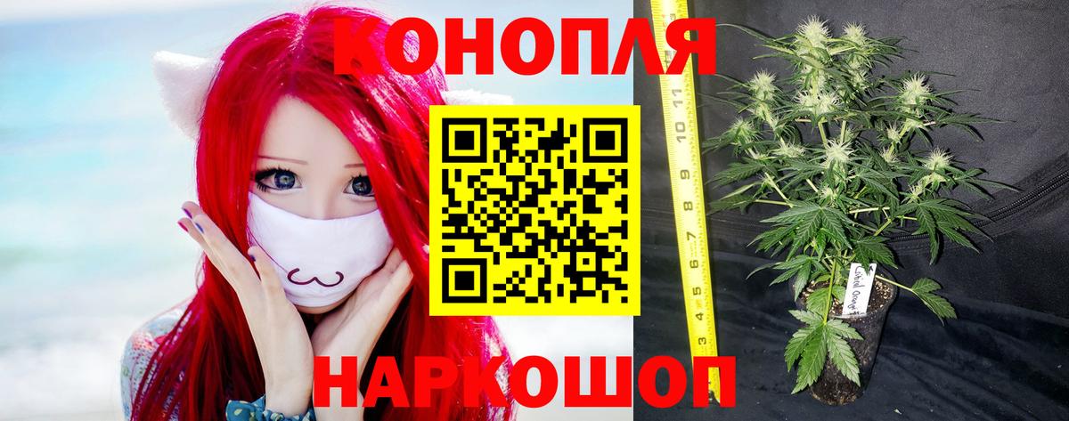 Шишки марихуана семена Сосновоборск